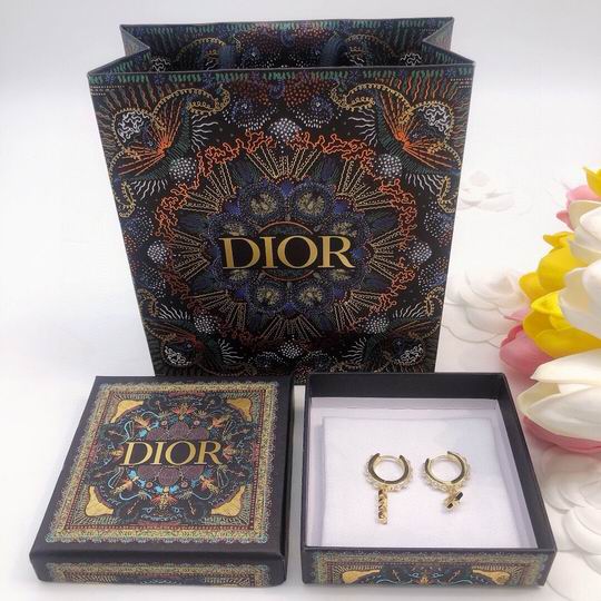 Dior Earring 12lyh86 (6)