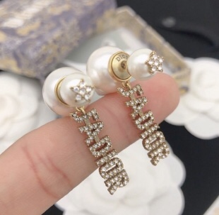 Dior Earring 12lyh89 (2)