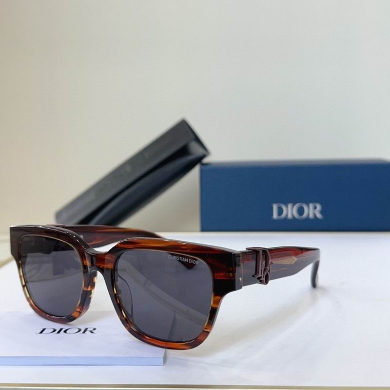 Dior Glasses 03smh109 (2)