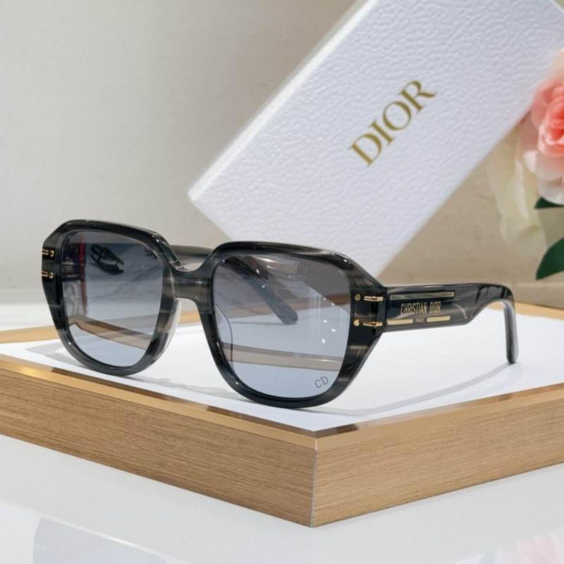 Dior Glasses 03smh116 (3)