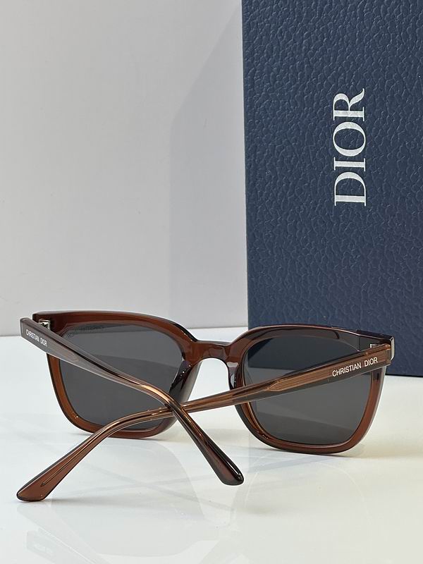 Dior Glasses 03smh117 (6)