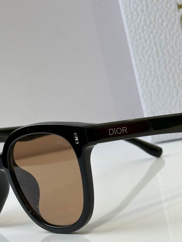 Dior Glasses 03smh125 (7)