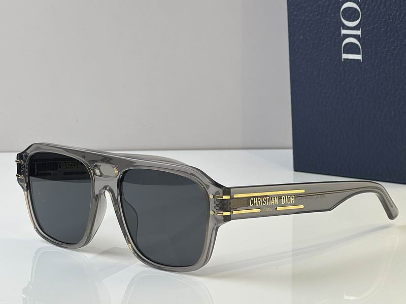 Dior Glasses 03smh131 (6)