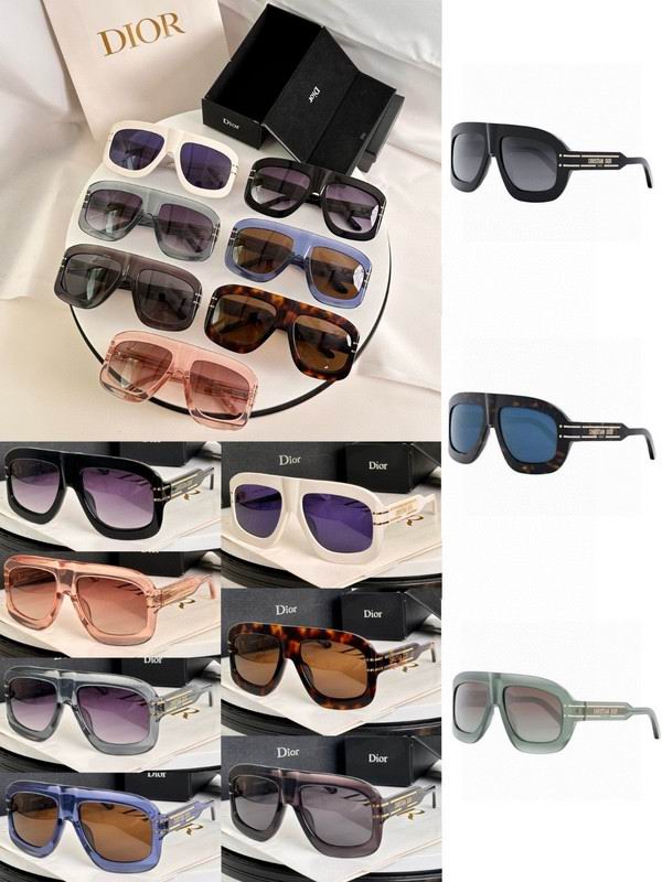 Dior Glasses 03smh52 (9)