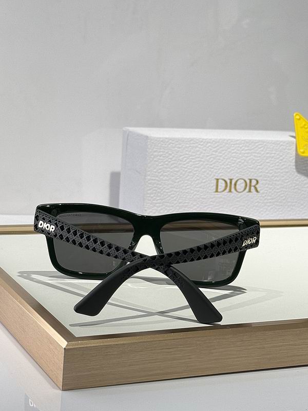 Dior Glasses 03smh81 (8)