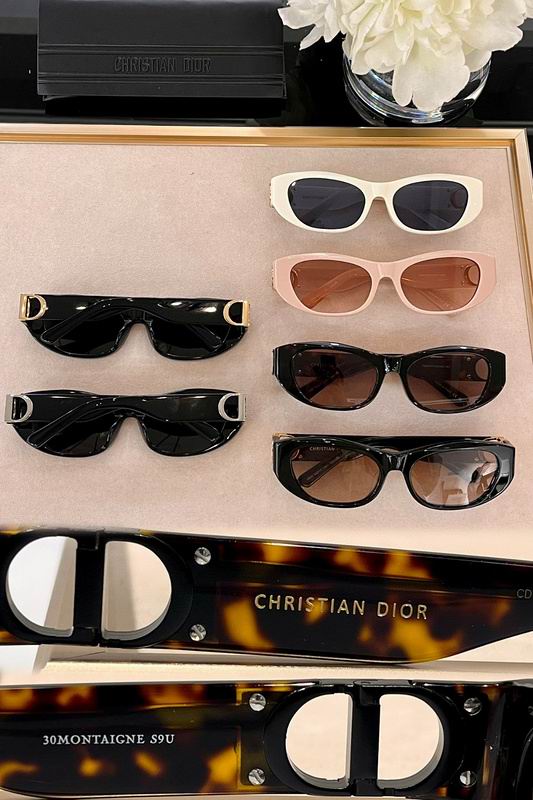 Dior Glasses 03smh87 (7)