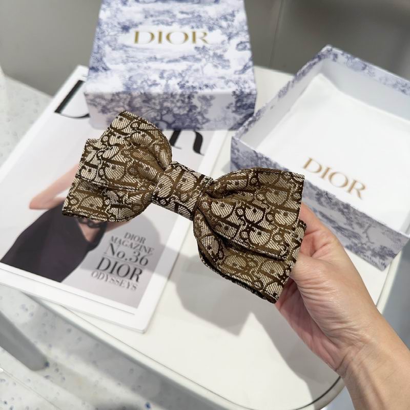 Dior Hairpin hh (11)