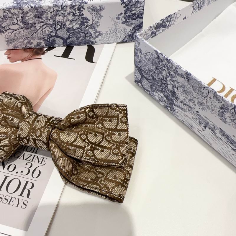 Dior Hairpin hh (14)