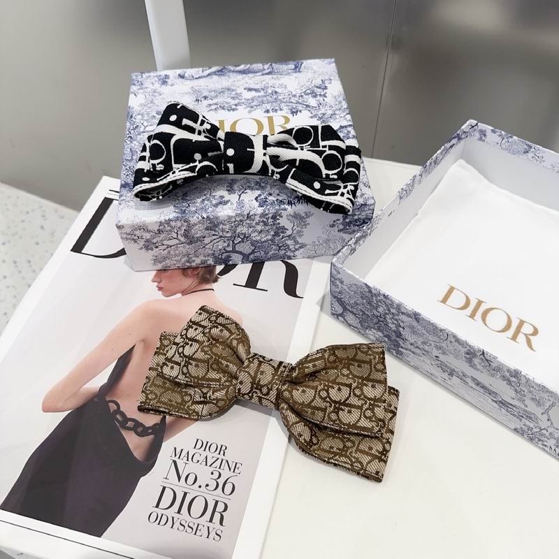 Dior Hairpin hh (15)