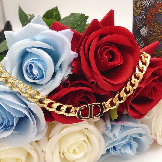 Dior Necklace 12lyh64 (6)