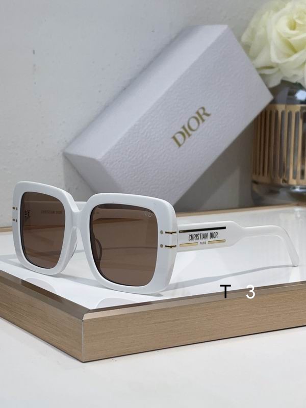 Dior S11F 54 21-145 c06