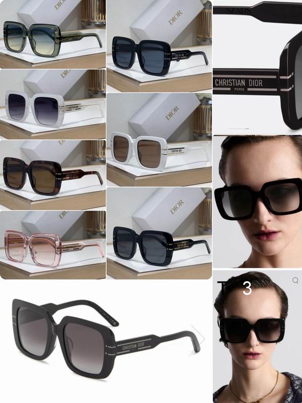 Dior S11F 54 21-145 c10