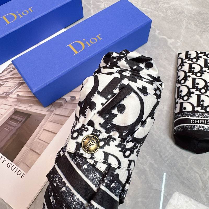 Dior Umbrella (12)