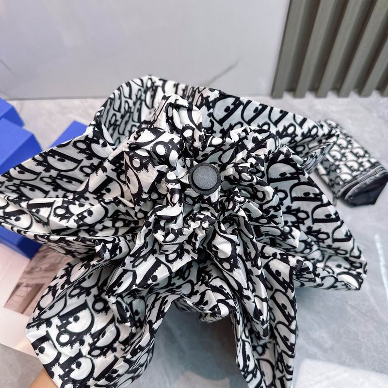 Dior Umbrella (15)