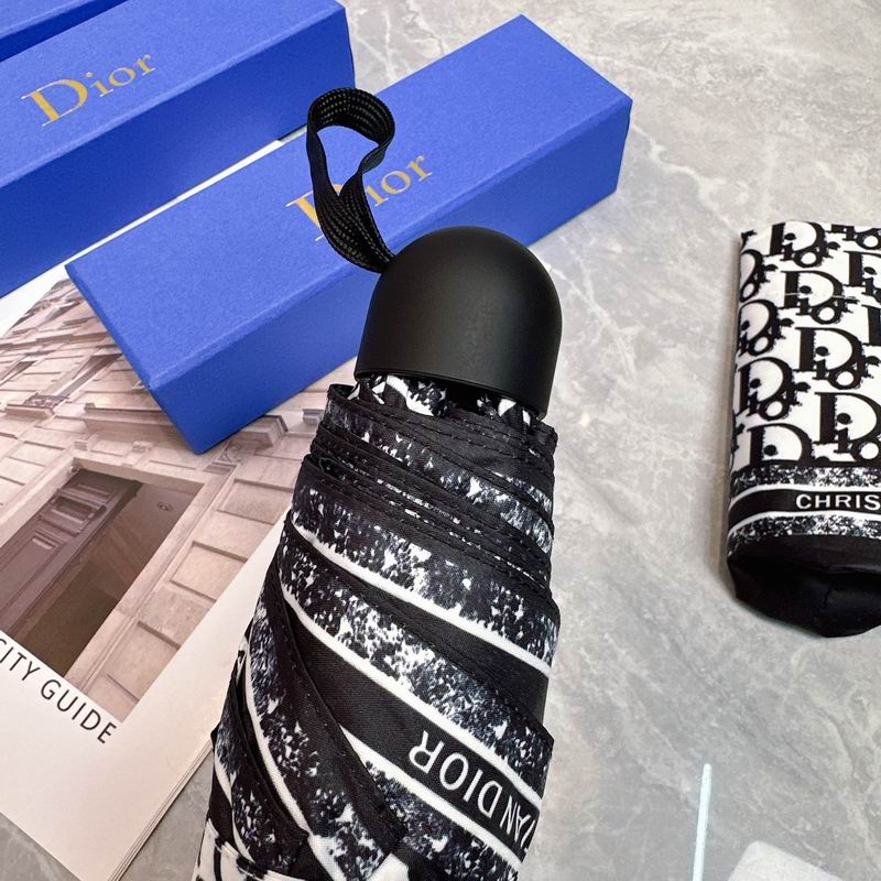 Dior Umbrella (17)