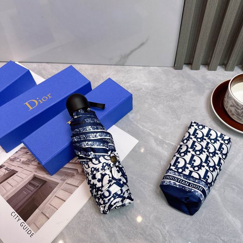 Dior Umbrella (20)