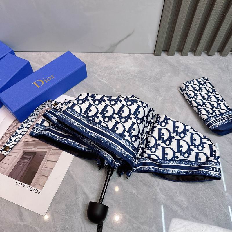 Dior Umbrella (22)