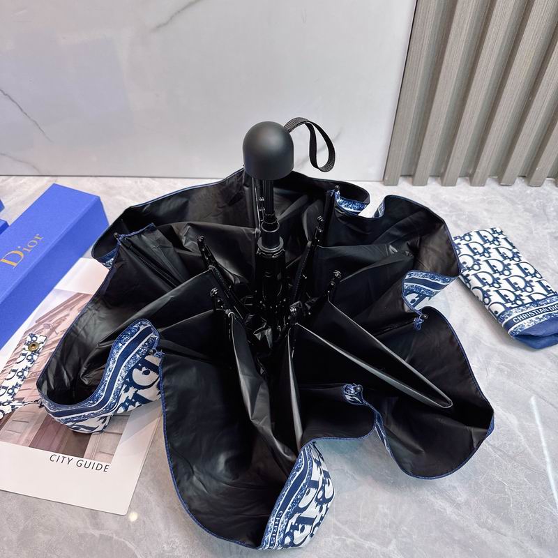 Dior Umbrella (23)