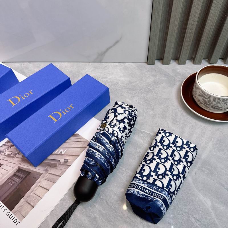 Dior Umbrella (25)