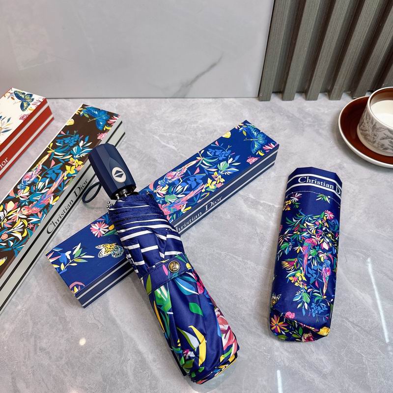 Dior Umbrella (47)