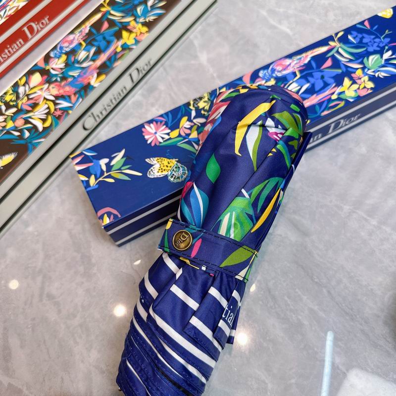Dior Umbrella (48)