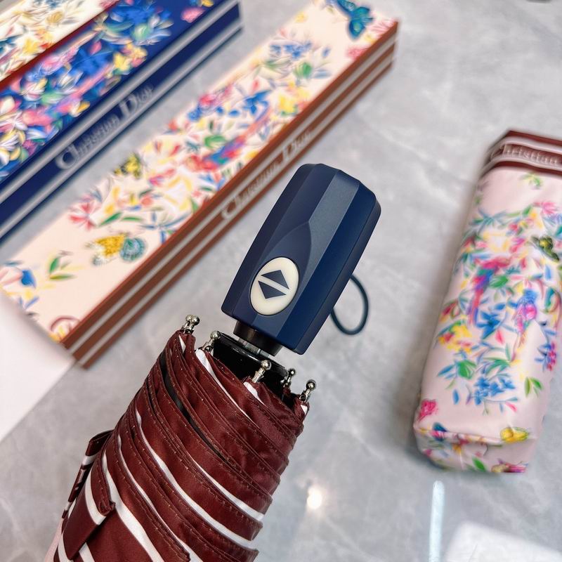 Dior Umbrella (62)