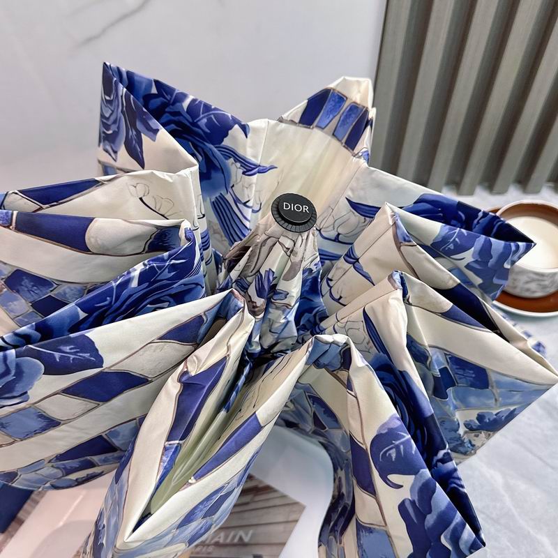 Dior Umbrella (69)