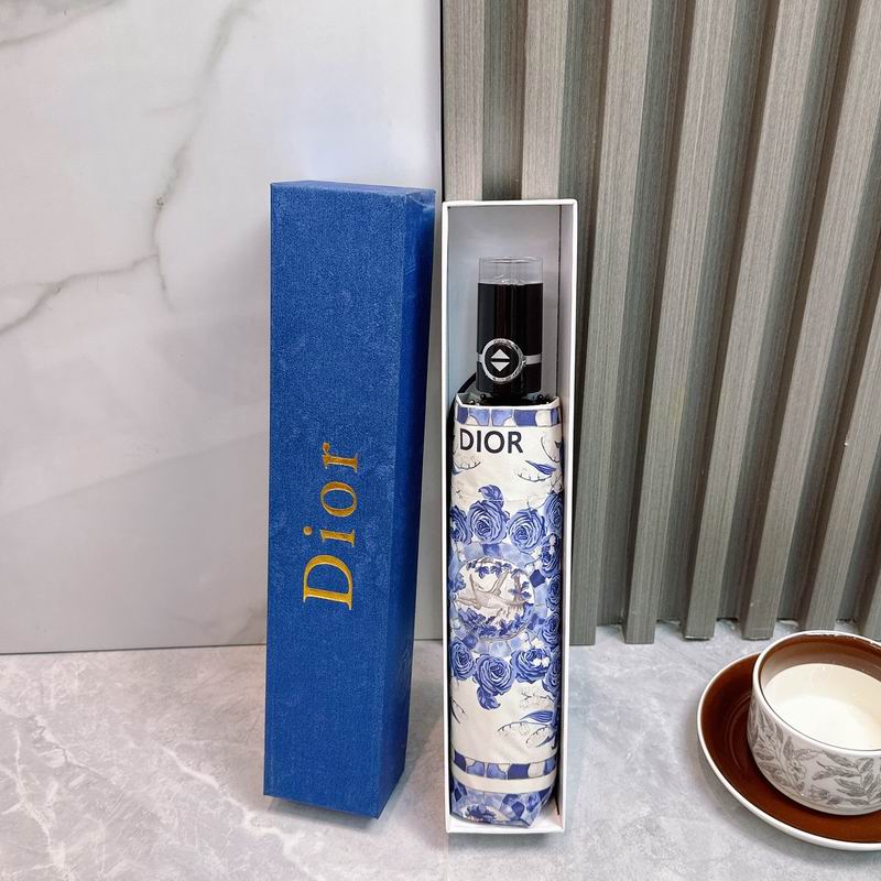 Dior Umbrella (72)