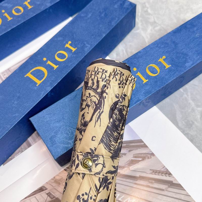 Dior Umbrella (75)
