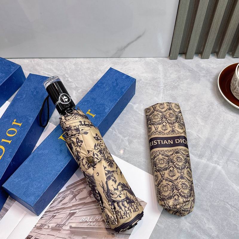 Dior Umbrella (77)
