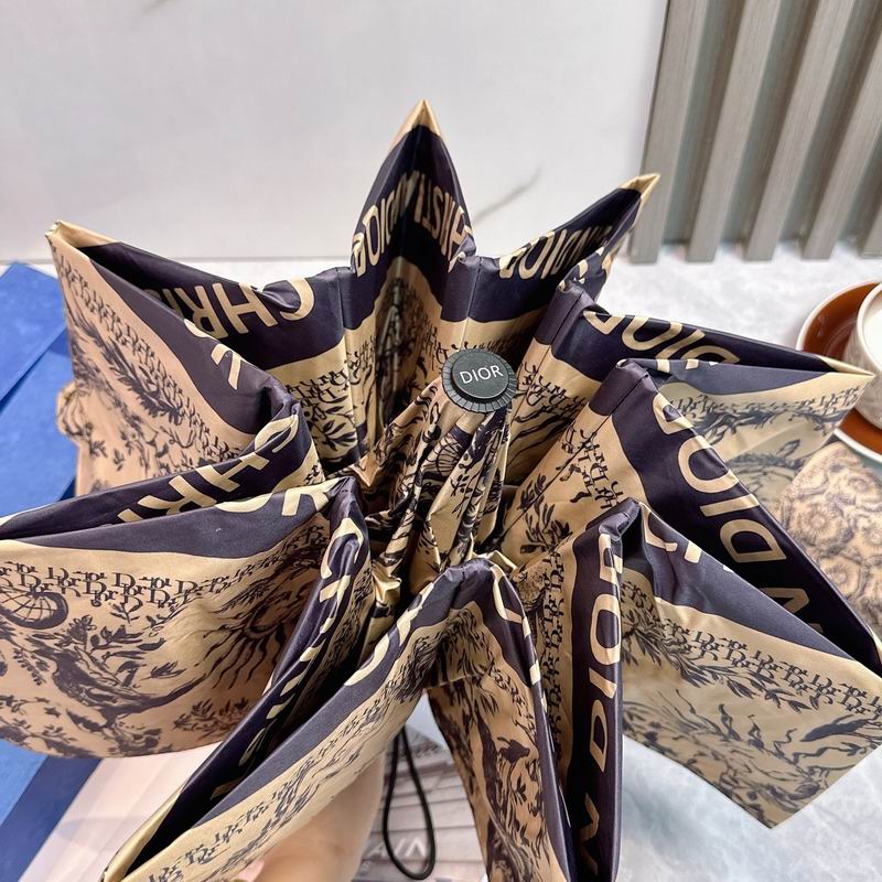 Dior Umbrella (78)