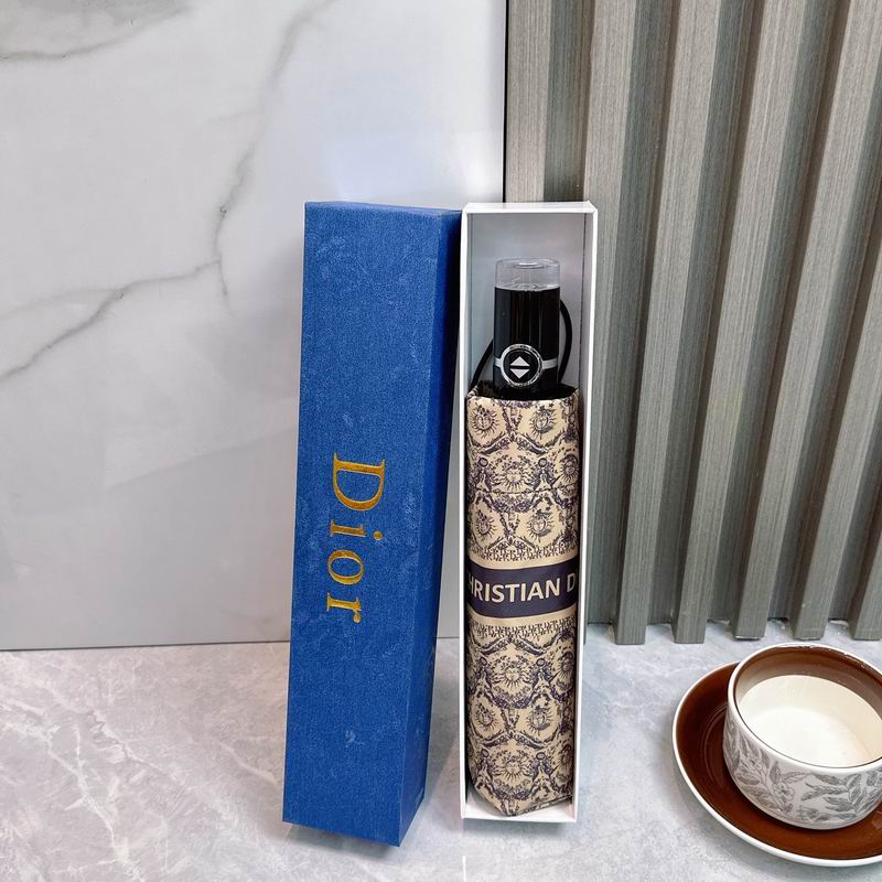 Dior Umbrella (81)