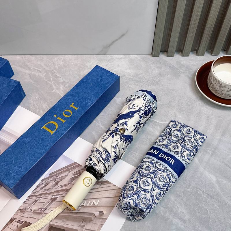 Dior Umbrella (84)