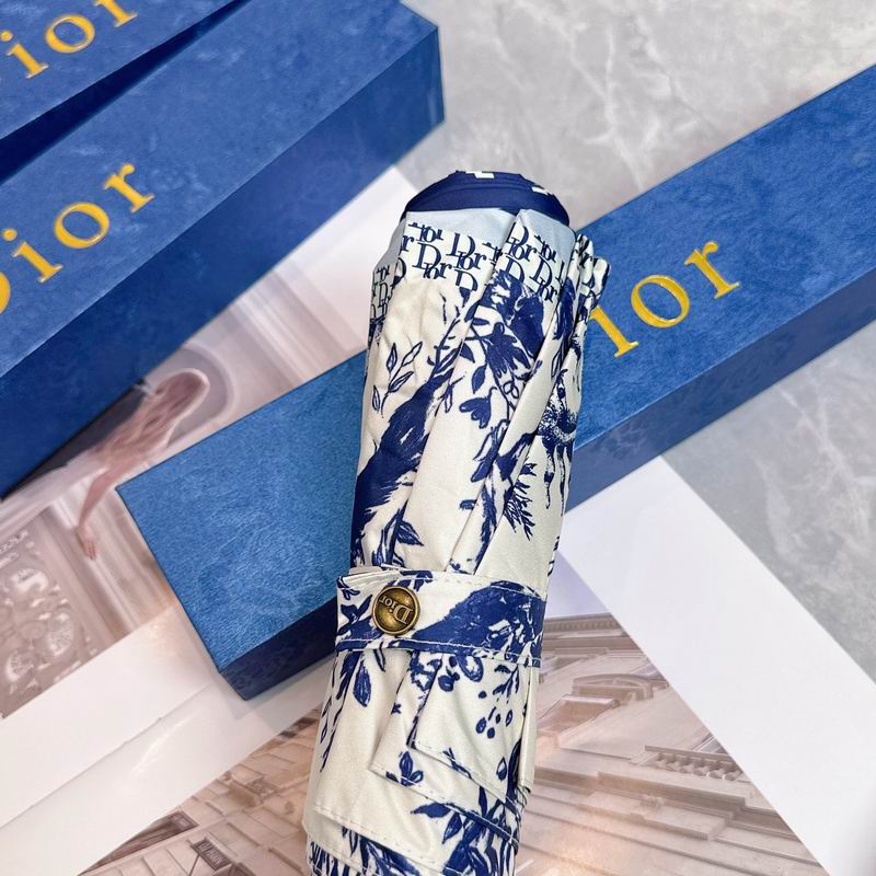 Dior Umbrella (86)