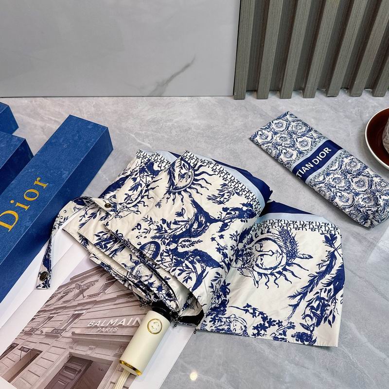Dior Umbrella (87)