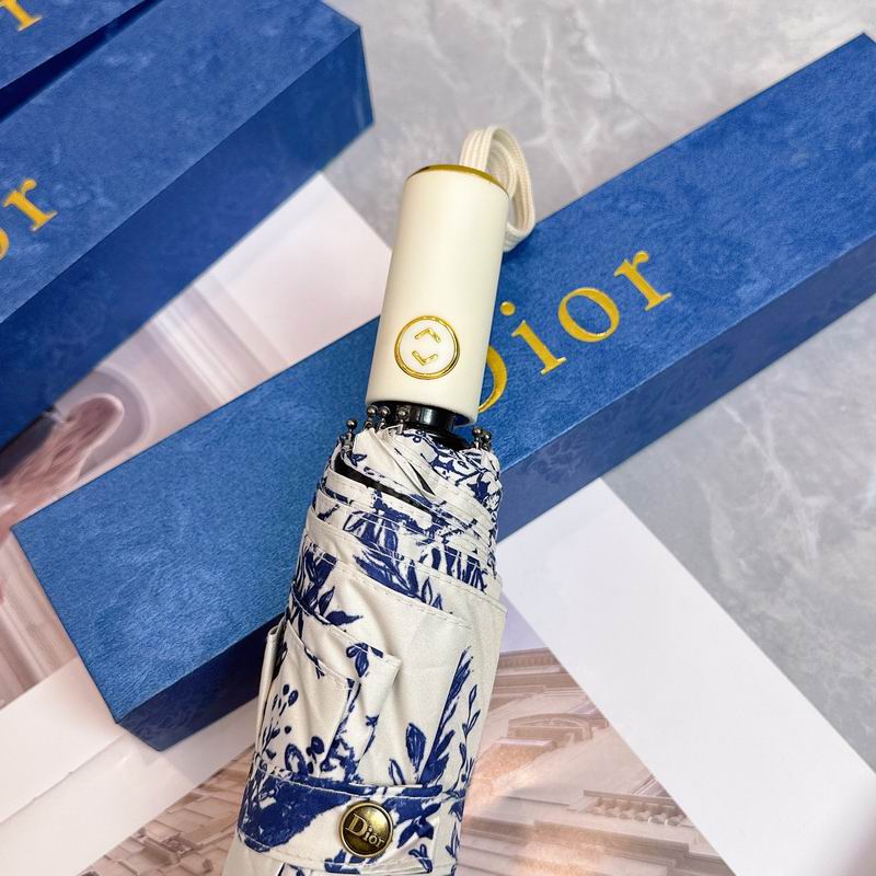 Dior Umbrella (88)