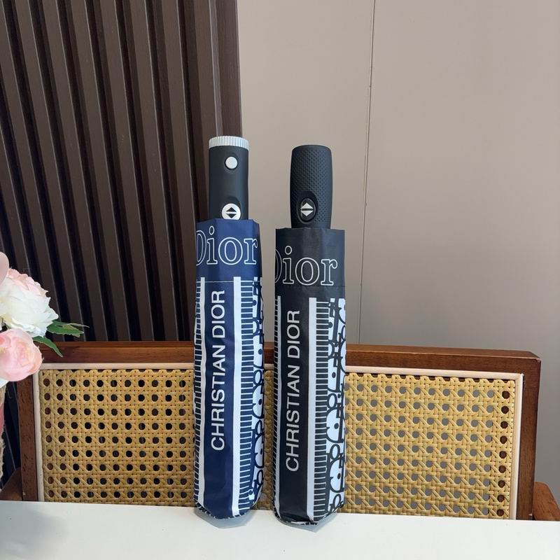 Dior Umbrella hm (110)