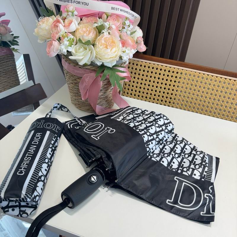 Dior Umbrella hm (112)