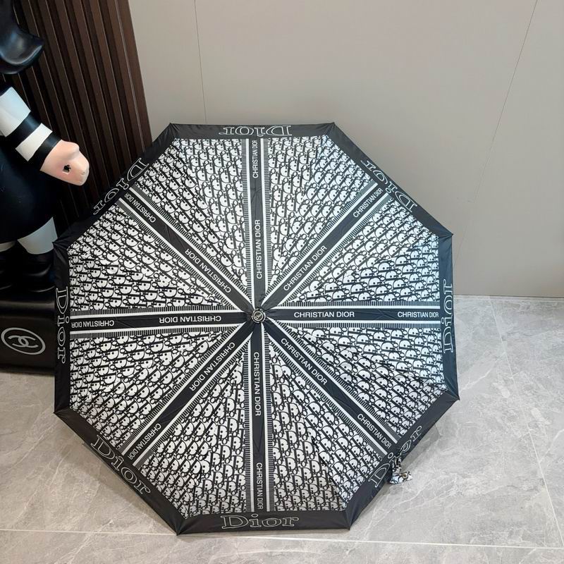 Dior Umbrella hm (113)