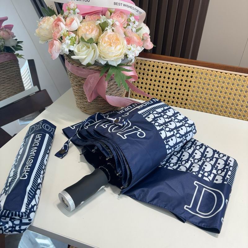 Dior Umbrella hm (115)