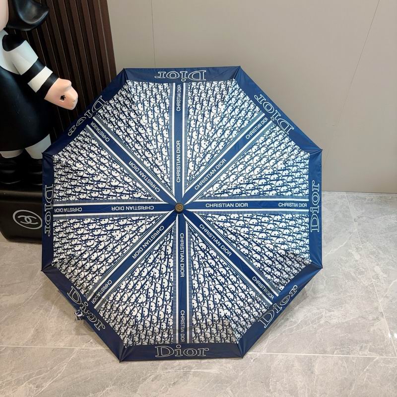 Dior Umbrella hm (116)