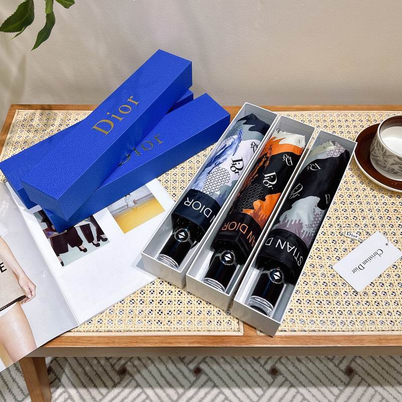 Dior Umbrella hm (33)