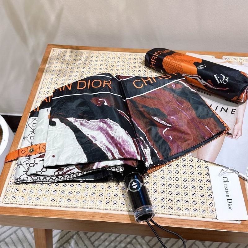 Dior Umbrella hm (41)