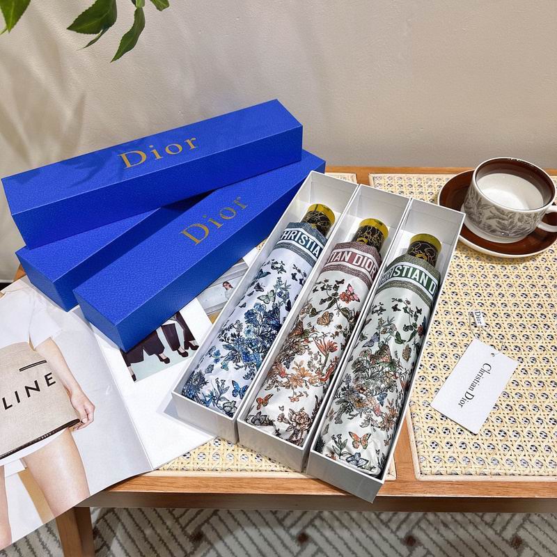 Dior Umbrella hm (43)