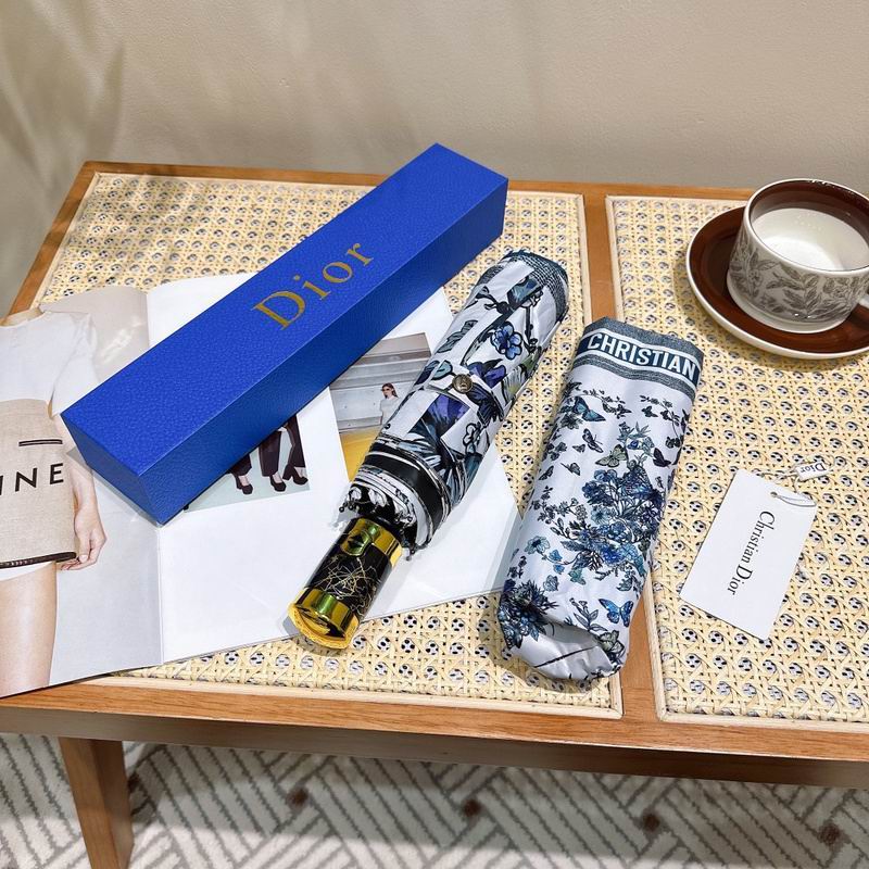 Dior Umbrella hm (44)