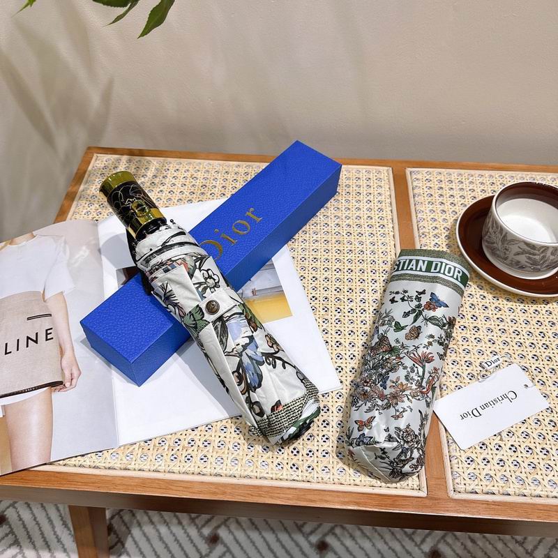 Dior Umbrella hm (47)