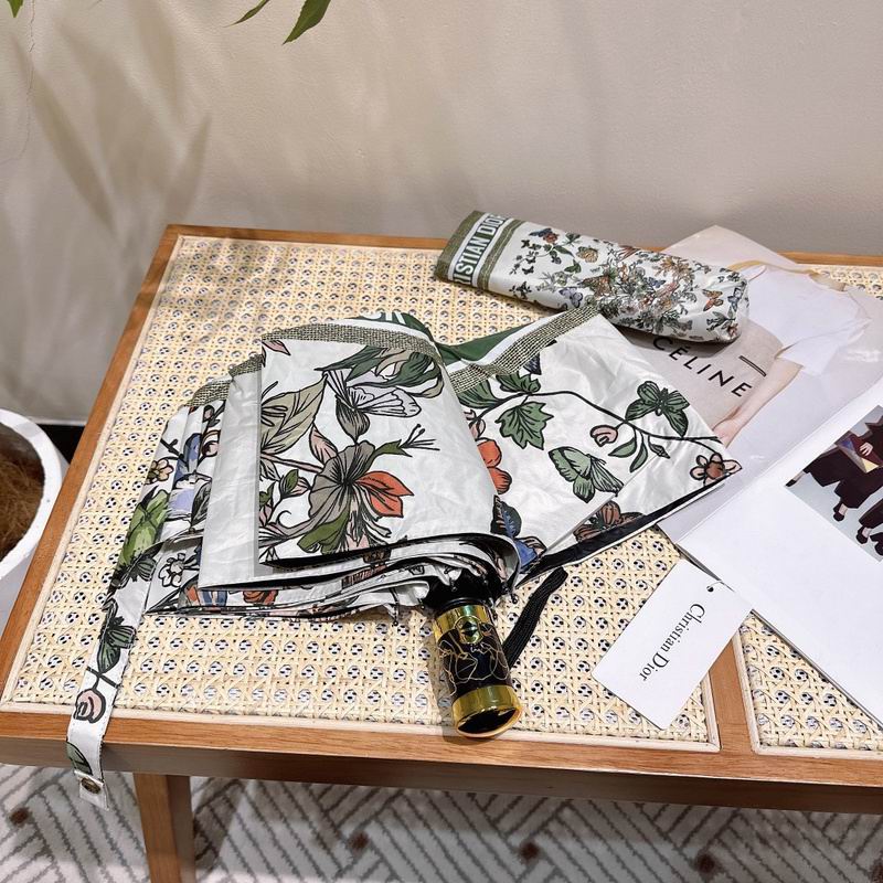 Dior Umbrella hm (48)