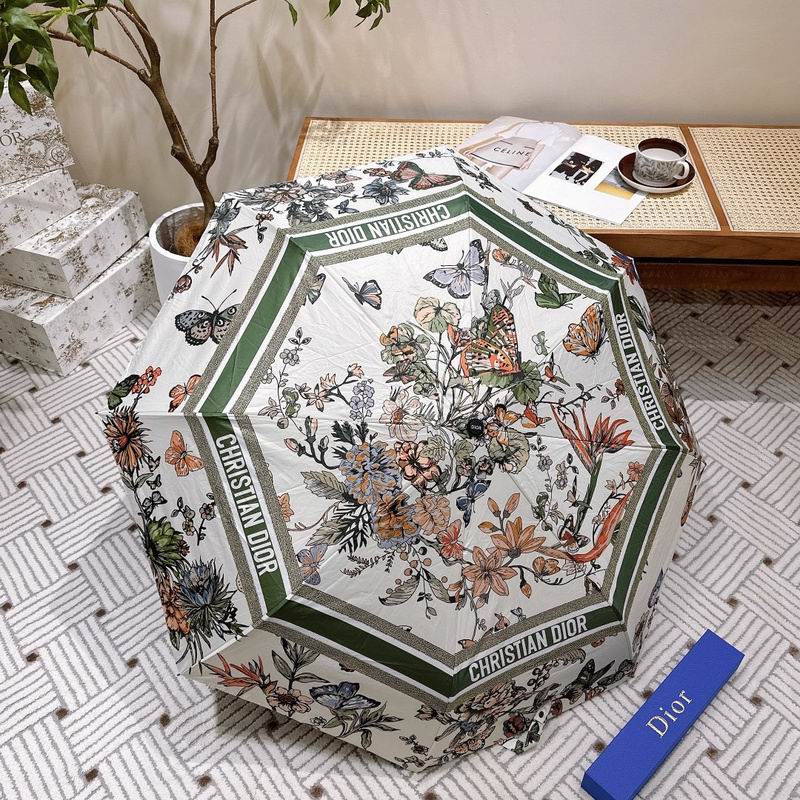 Dior Umbrella hm (49)