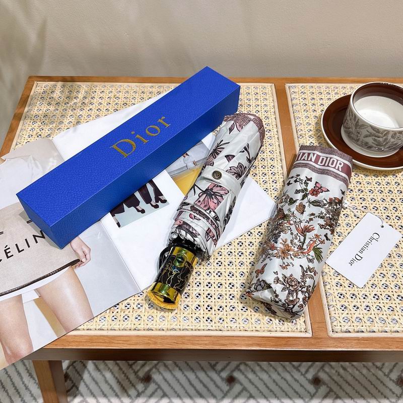 Dior Umbrella hm (50)
