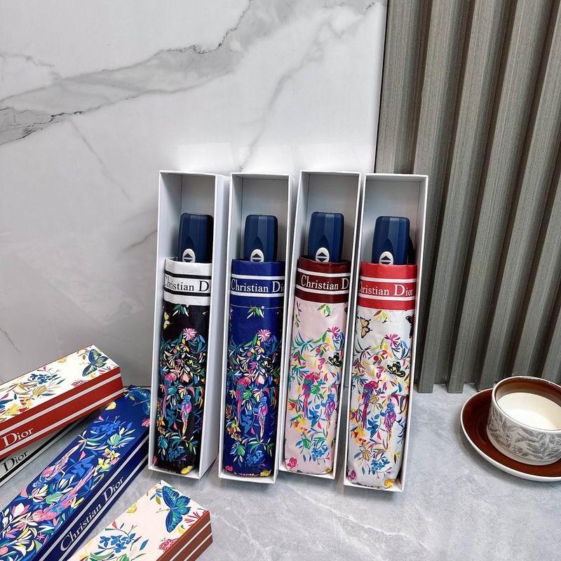 Dior Umbrella hm (56)